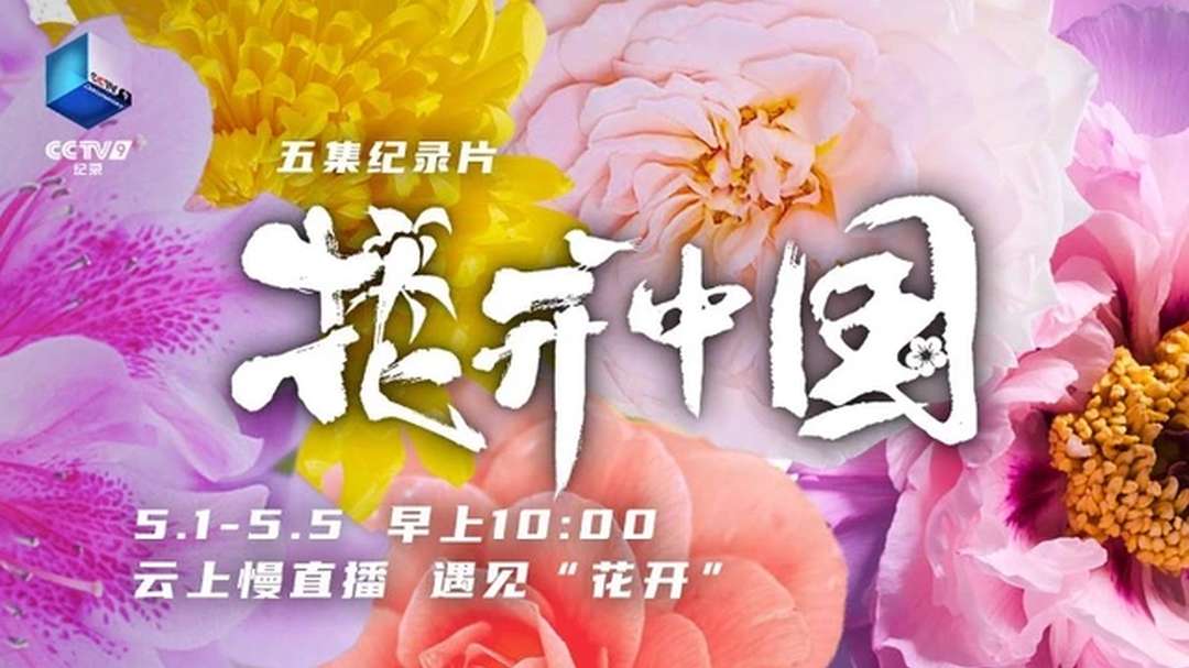 花开中国》第一集：茶花