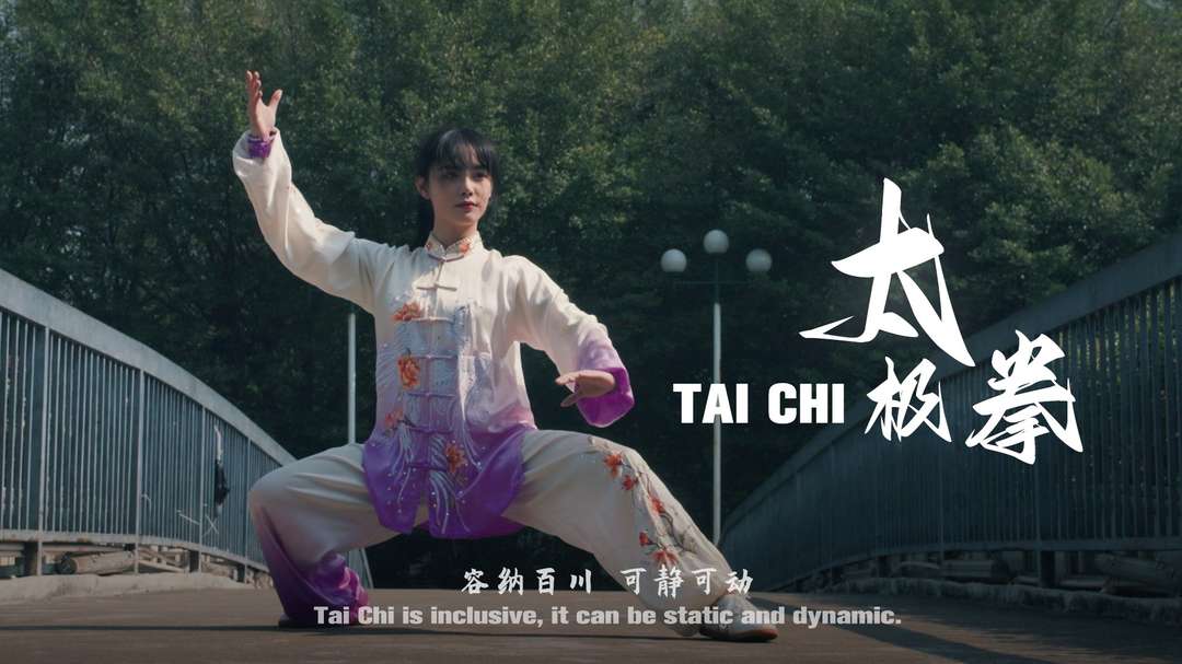 三皇炮捶拳：发劲似炮出手如捶