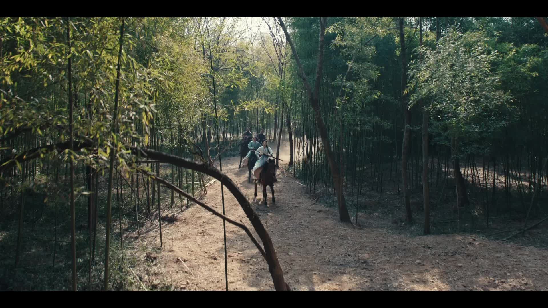 无所畏惧之永不放弃》第28集：陈硕被陶正劝退，方睿跟随陈硕离开
