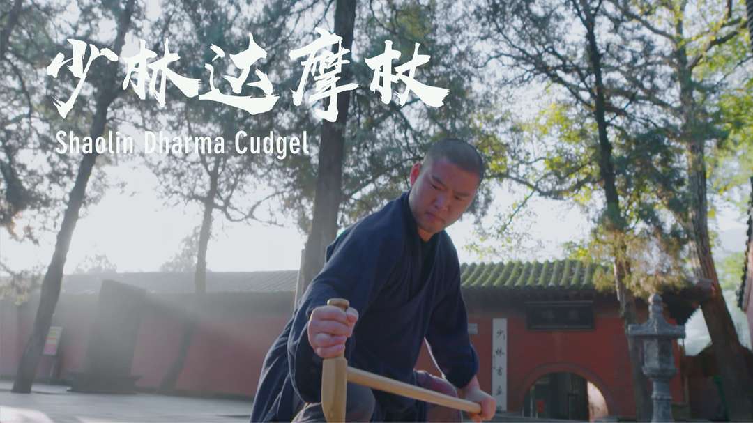 少林达摩杖：动心忍性，宁静致远
